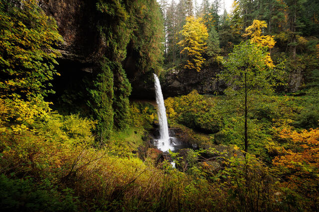 Waterfalls