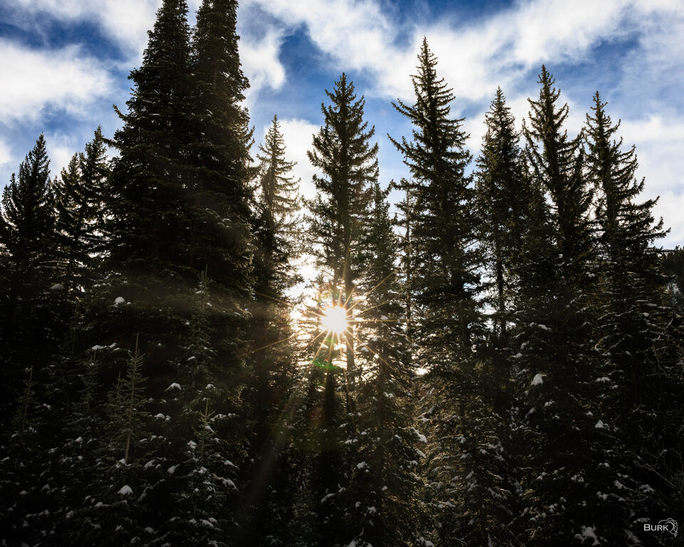Jordan Pines Campground area of Big Cottonwood Canyon in Utah.