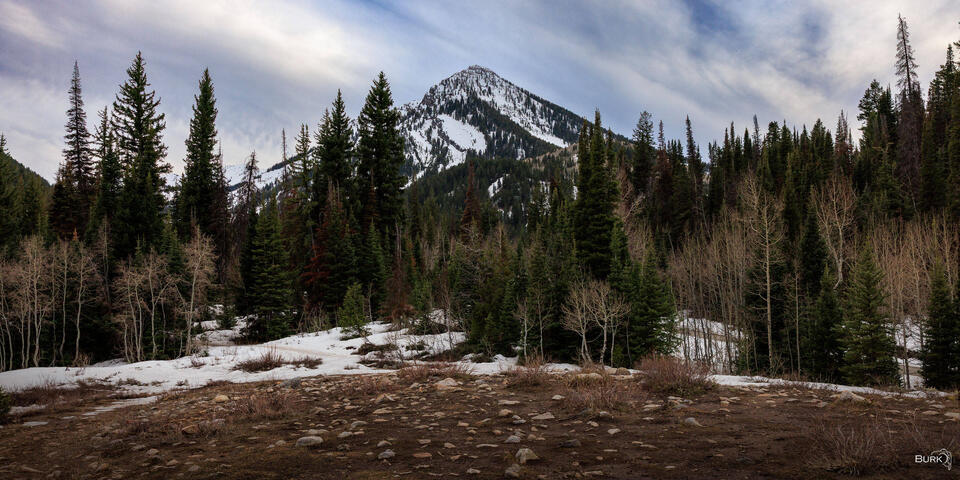 Jordan Pines Campground Area