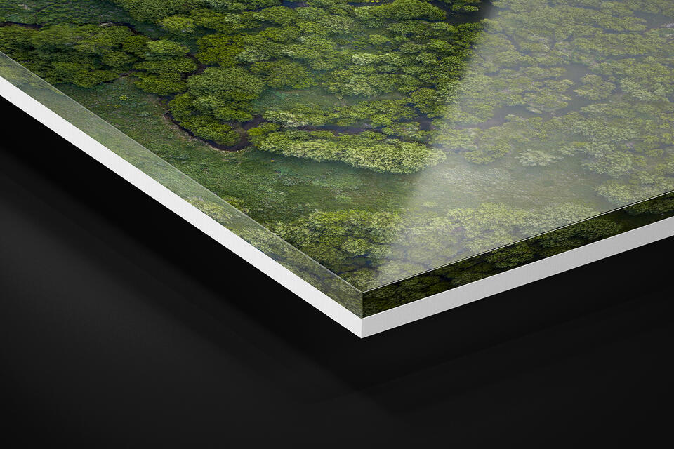 print preview
