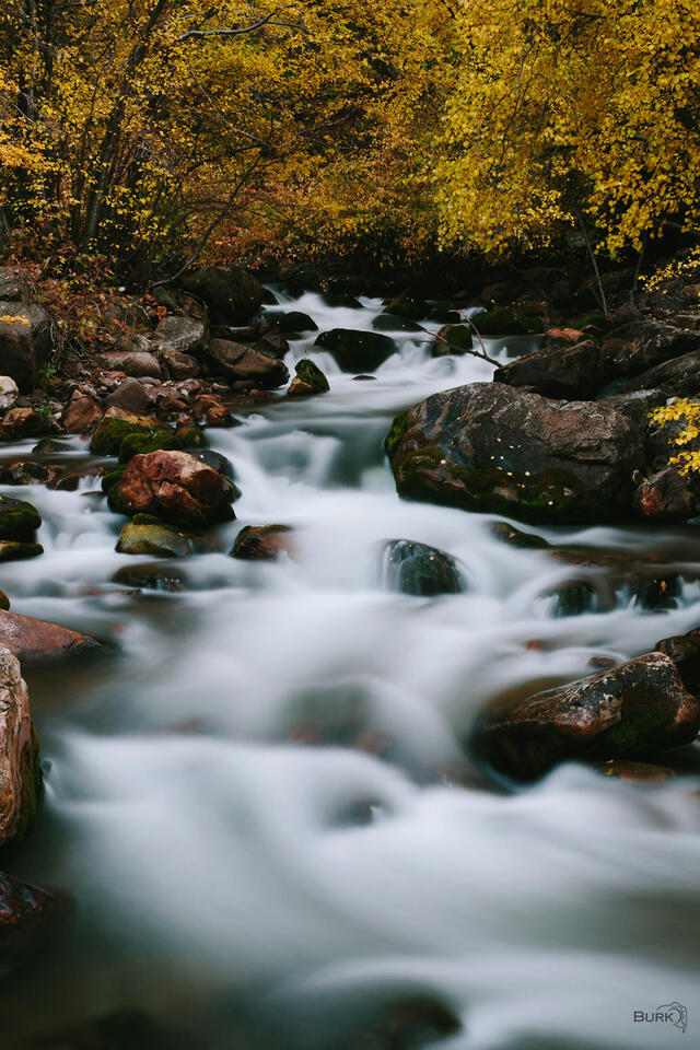 Long exposure of a creek of water.