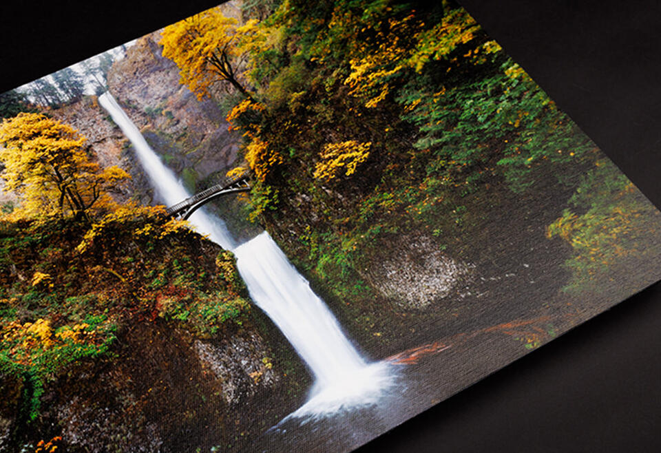 Canvas Print