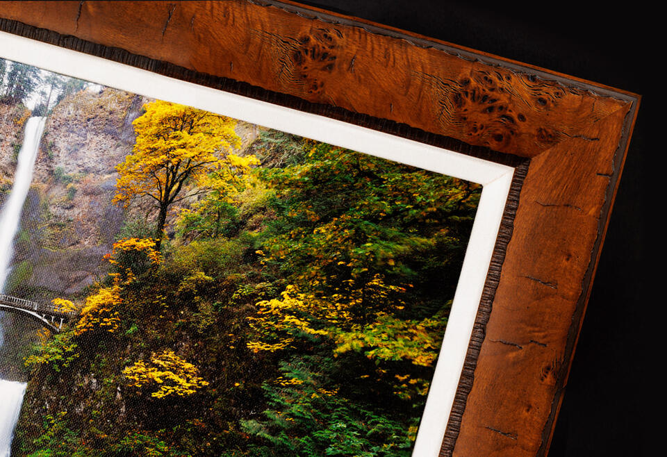 Fine Art Canvas Print • Framed •