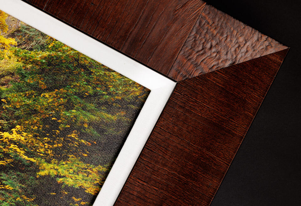 Framed Canvas Print