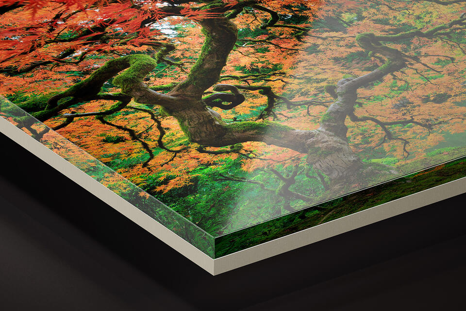 Acrylic Fine Art Print