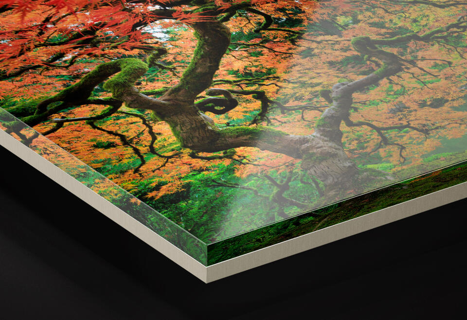 Acrylic Fine Art Print