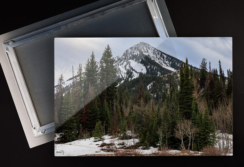 ChromaLuxe Metal Fine Art Print