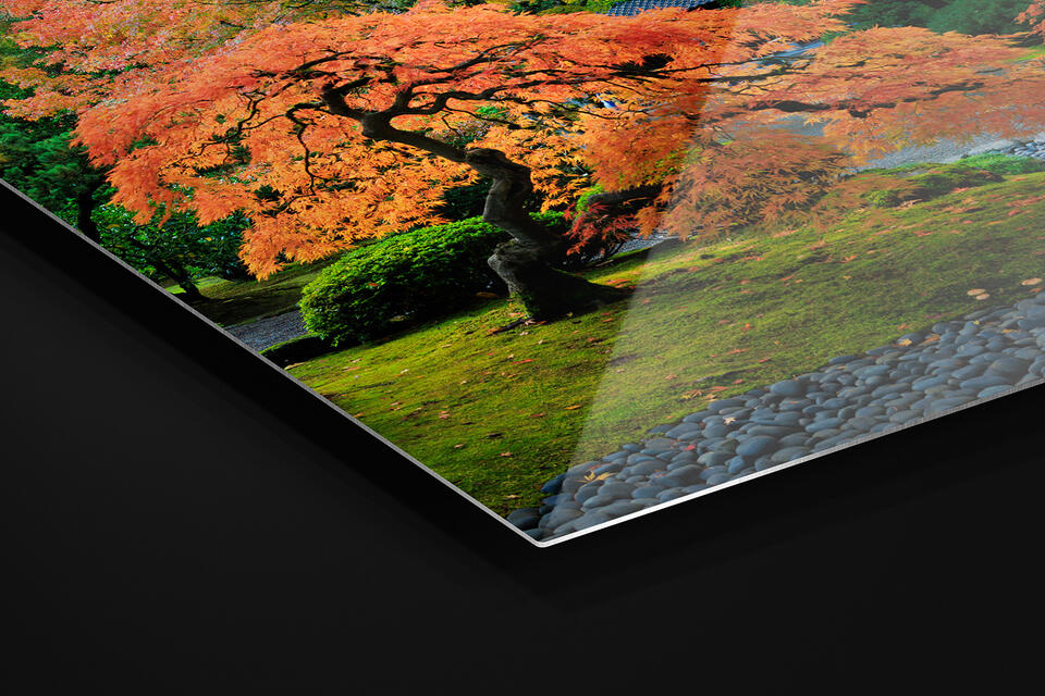 ChromaLuxe Metal Fine Art Print