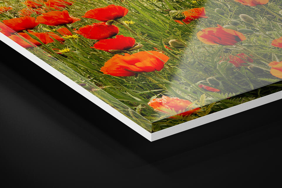 print preview