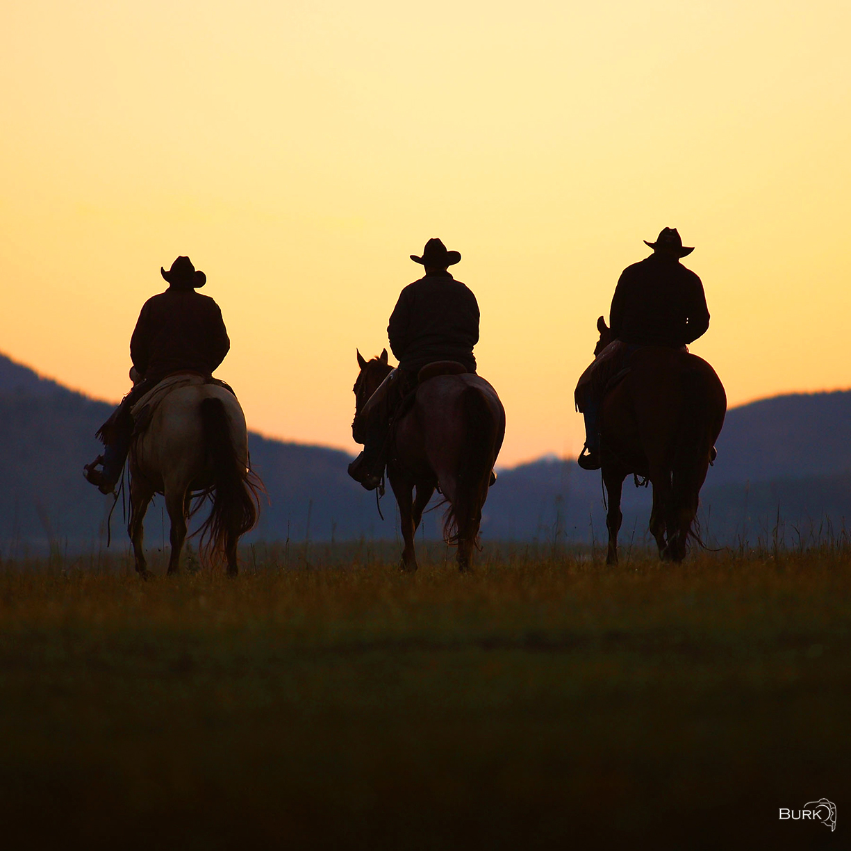 Daybreak on the Idaho Range Three cowboys at daybreak ride out to gather cattle.