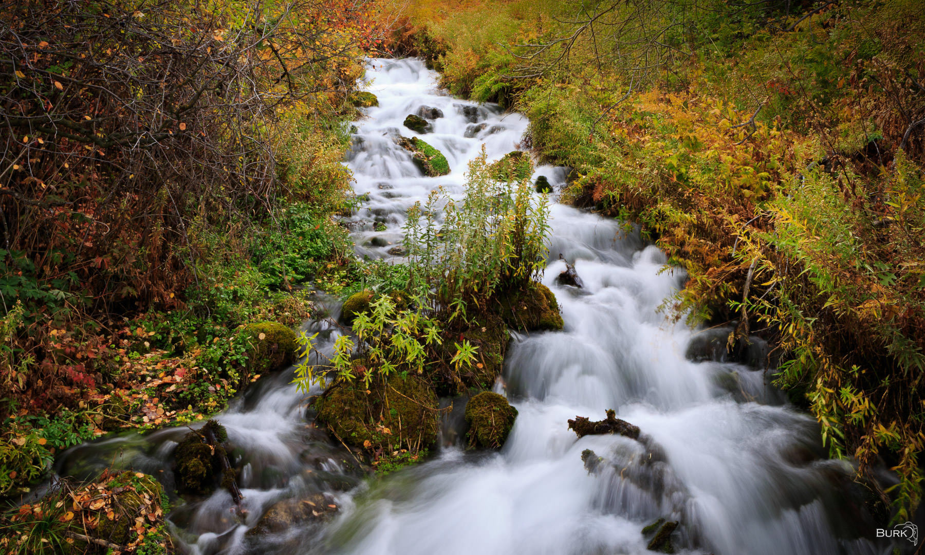 Cascade Springs Cascade Springs in Provo Utah.