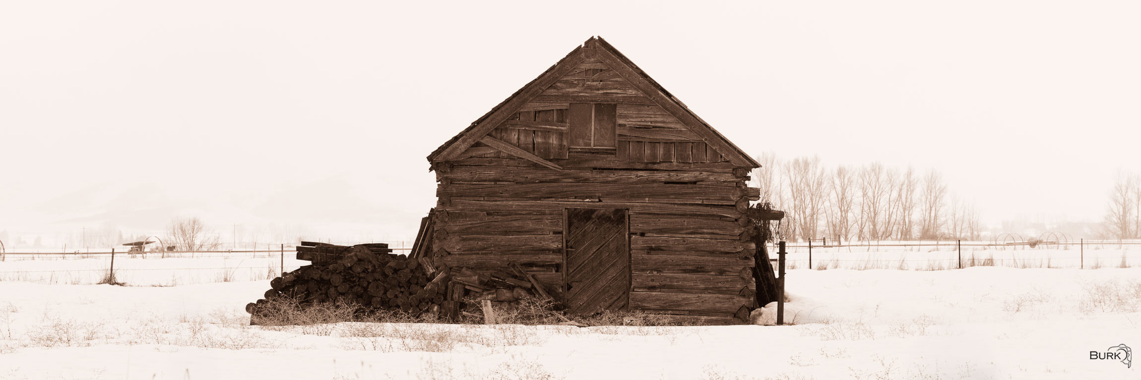 Weathered Time stands its ground where winter and weather have worn everything down but not out.