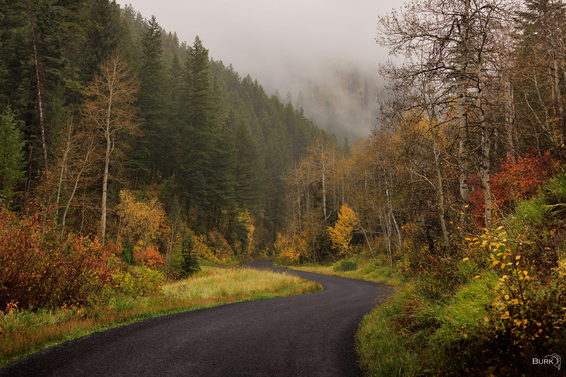 The First Turn A bending road in Park City, Utah during autumn season in the fall.