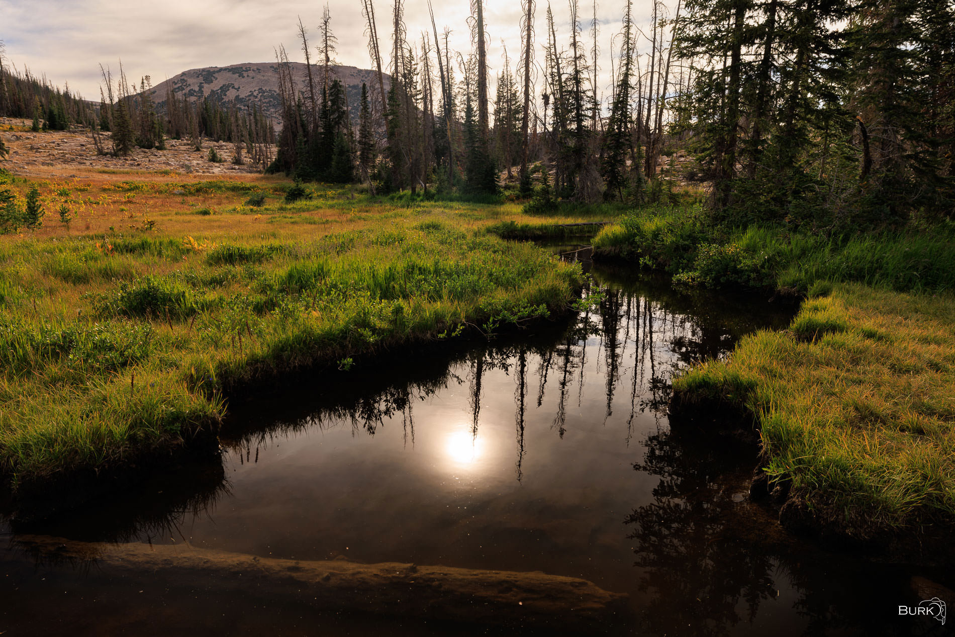 Inner Reflection A pond in the Uinta Mountains of Utah.