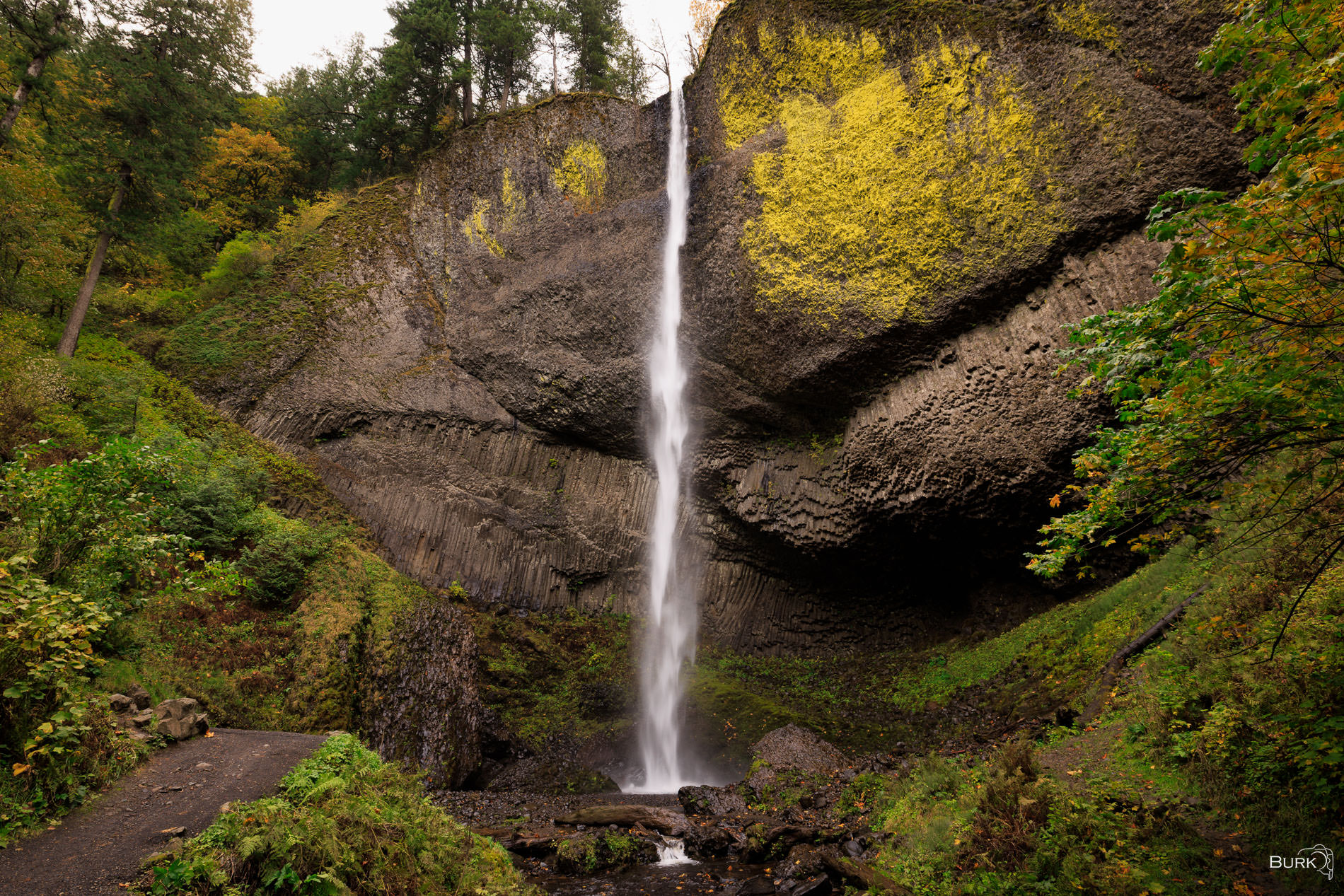 Latourell Falls Latourell Falls is one of the most recognizable waterfalls in the Columbia River Gorge, known for its dramatic single-drop plunge...