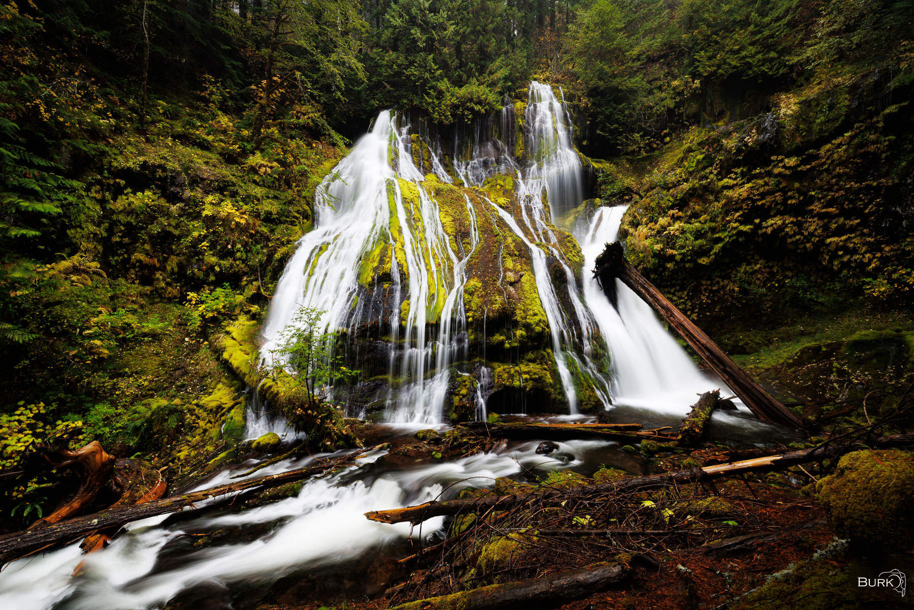Panther Creek Falls Gifford Pinchot National Forest is a vast protected area in southern Washington state, covering more than 1.3 million acres of...