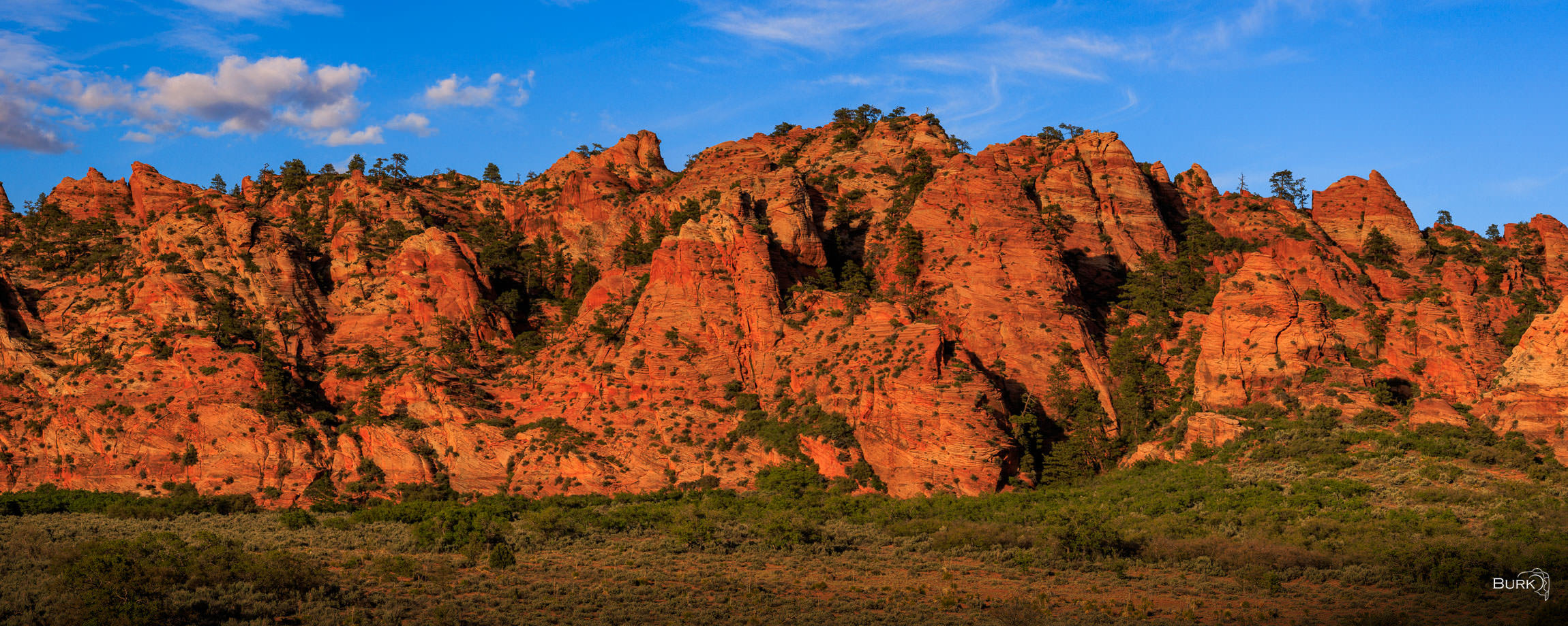 Cave Valley Cave Canyon Zion National Park