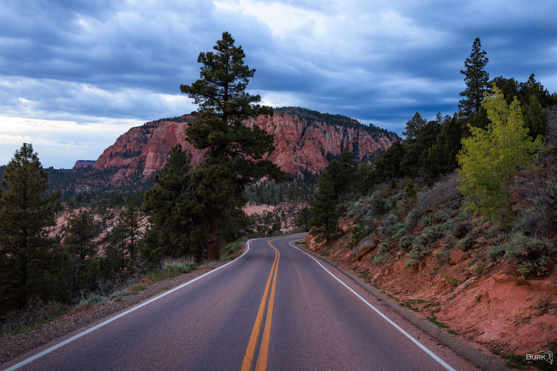Through the Land of Kolob Kolob Terrace Road in Zion National Park