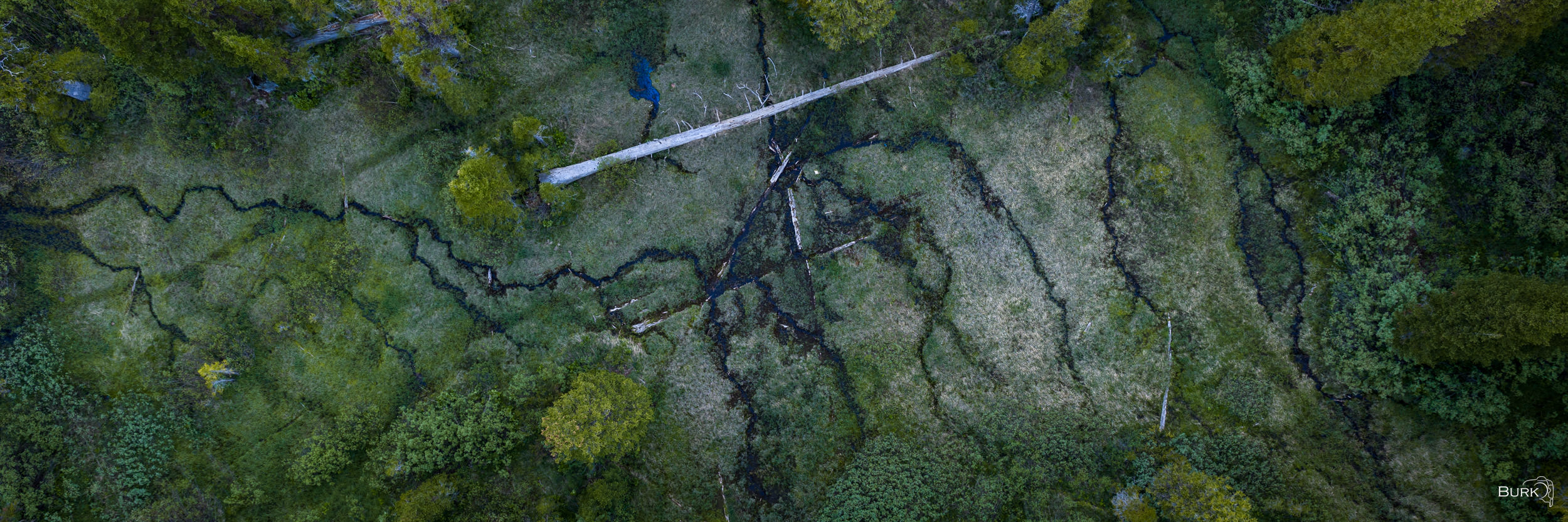 The Meadow’s Map Uinta-Wasatch-Cache National Forest aerial view of wetland area.
