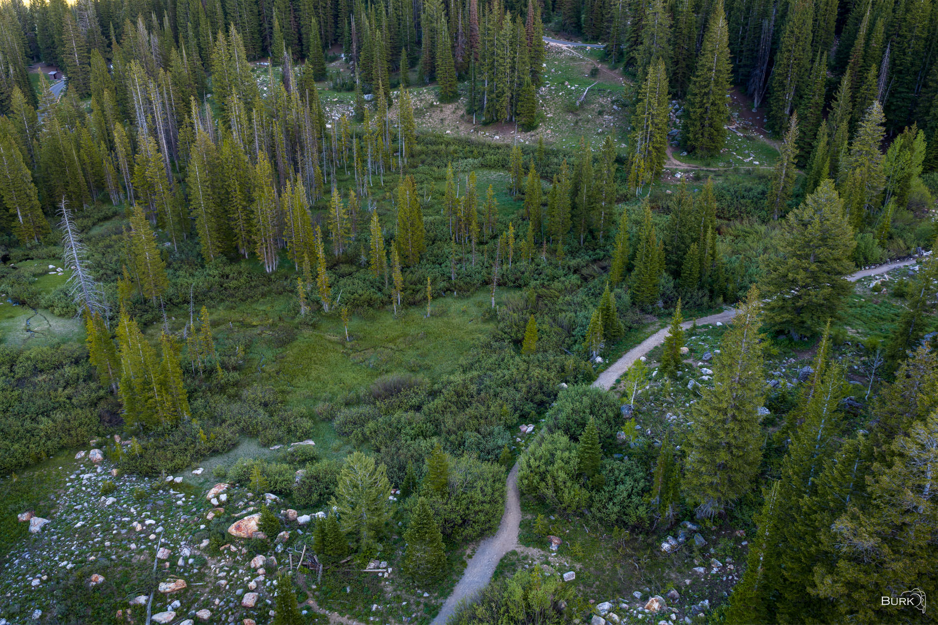 The Forest Way Hiking trail near Tony Grove Lake.