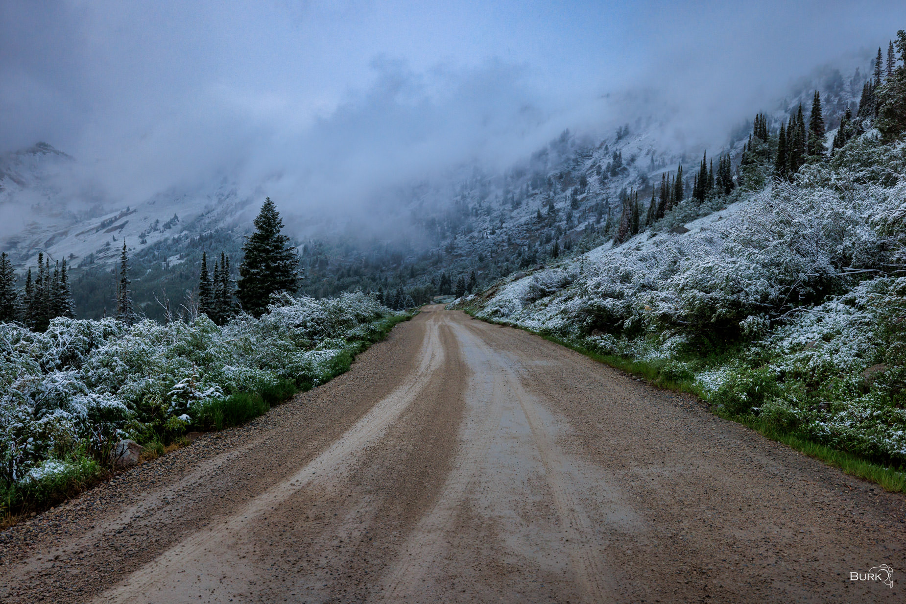 Albion Basin Road An early June morning drive up to Alta Ski Area, where winter made one last unexpected return.