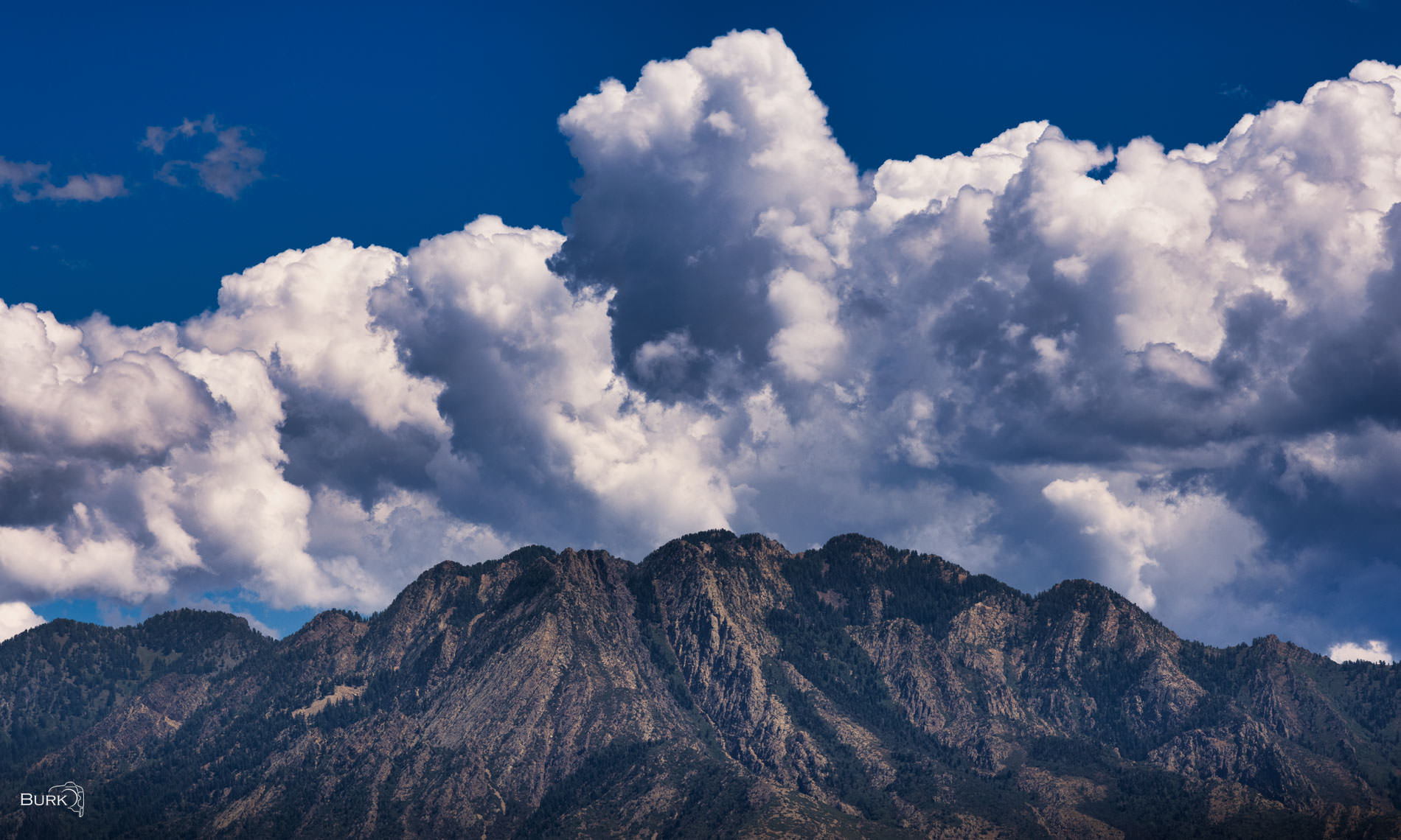 Wildcat Ridge Wildcat Ridge beneath towering white summer clouds and a deep blue sky in the Wasatch Mountains near Salt Lake City, Utah.