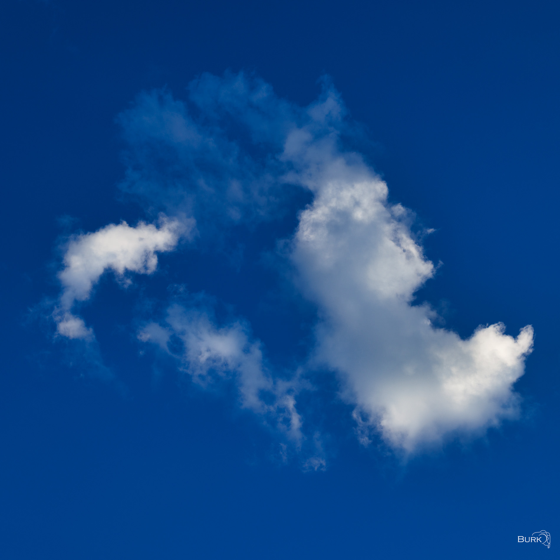 Dolphin in the Sky A cloud formation showing a dolphin in the sky, Pareidolia.