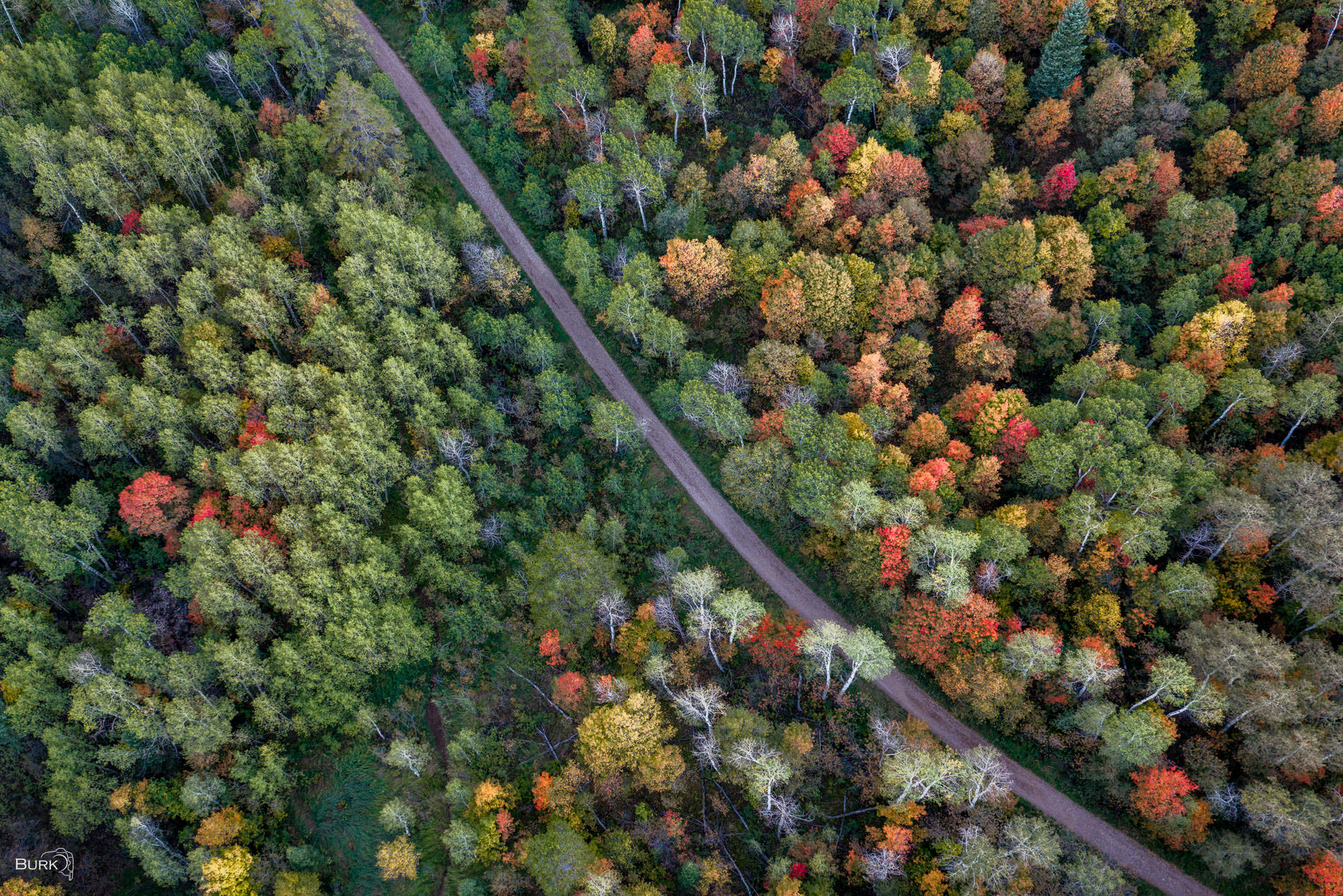 Maples Trailhead An aerial view of Maples Trail at Snowbasin Resort during autumn season.