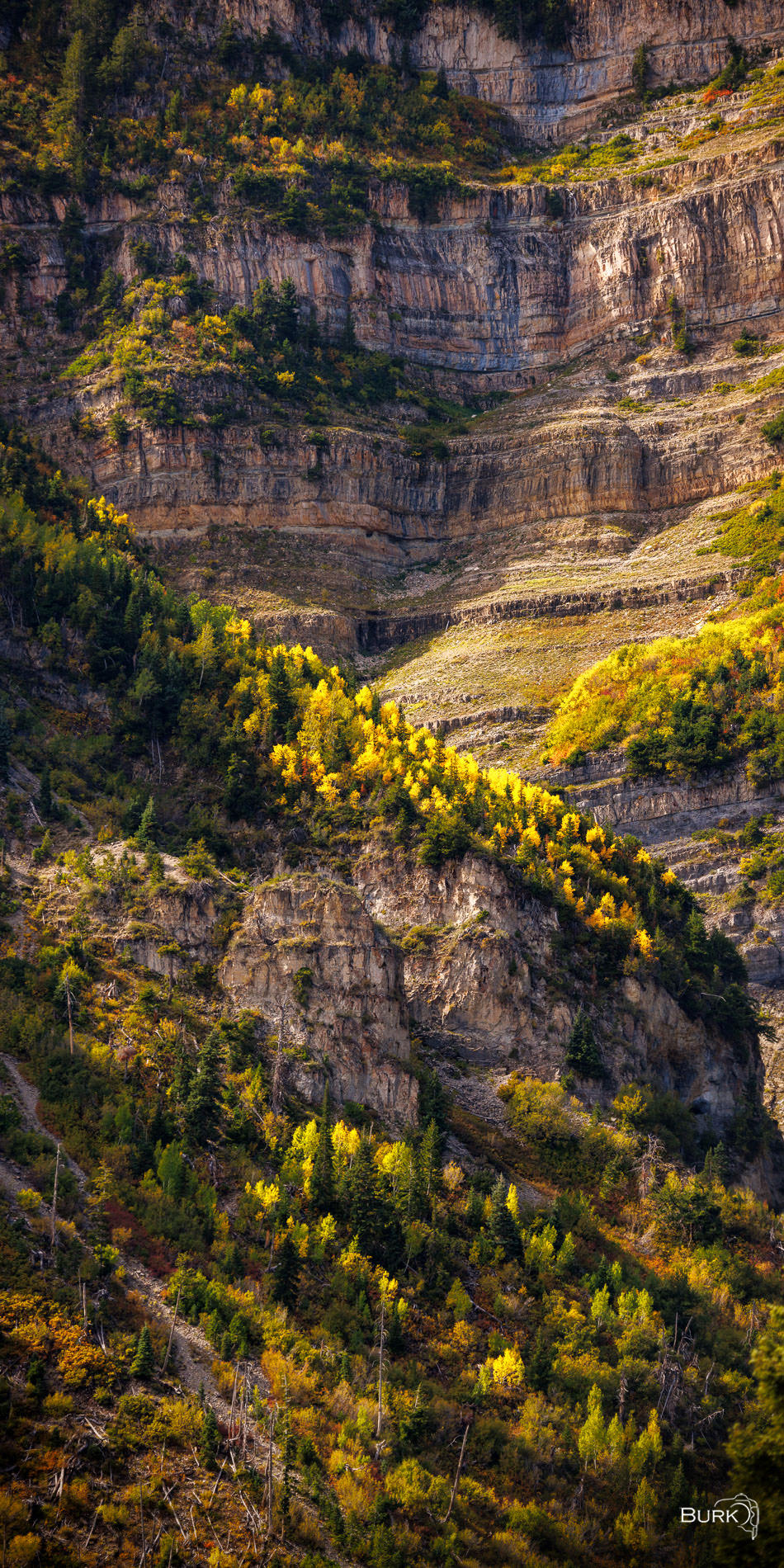 Mount Timpanogos Autumn Light Close-up of Mount Timpanogas taken from the Alpine Loop in Provo, Utah. Autumn colors.