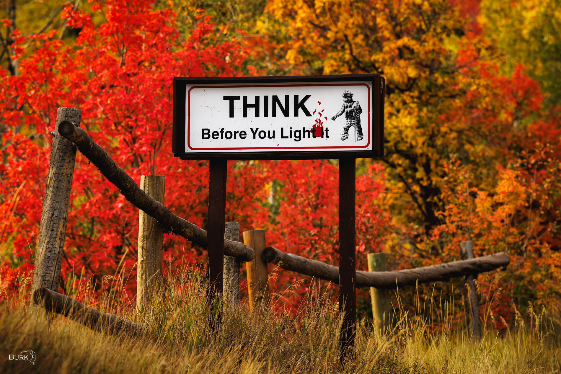 Smoky Bear sign that reads "Think Before You Light It".