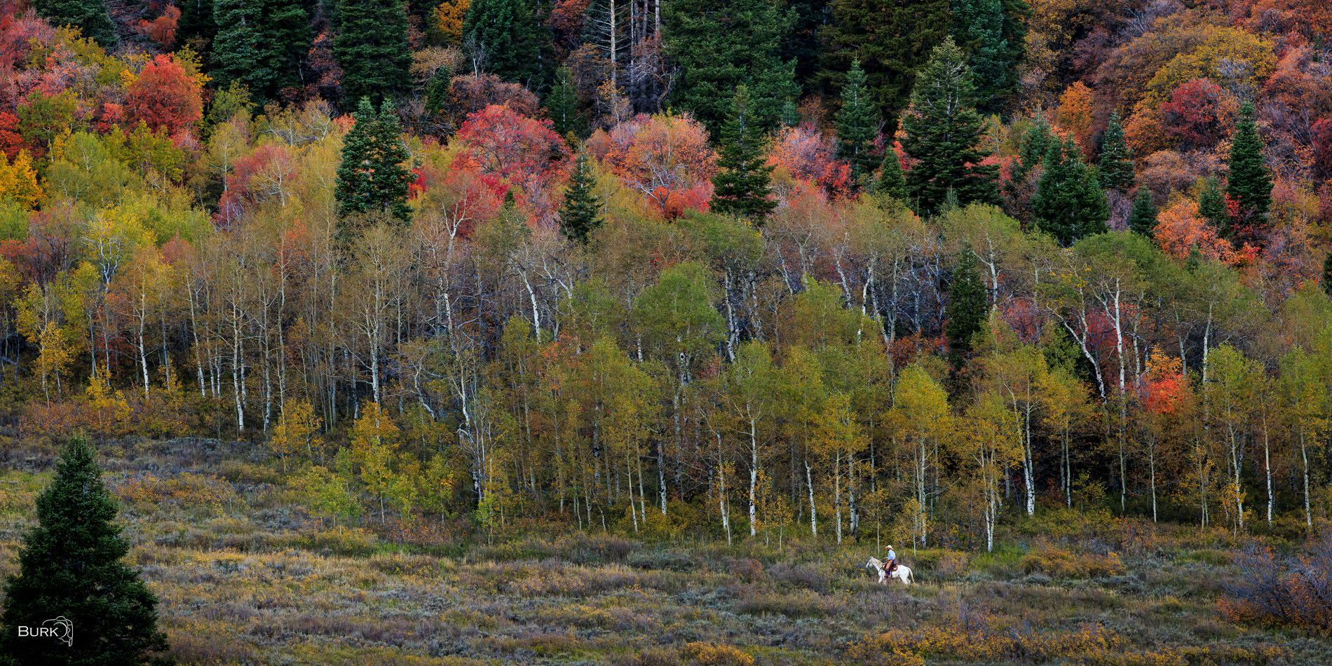 Quiet-Passage Horseback riding at Snowbasin Resort in Utah.