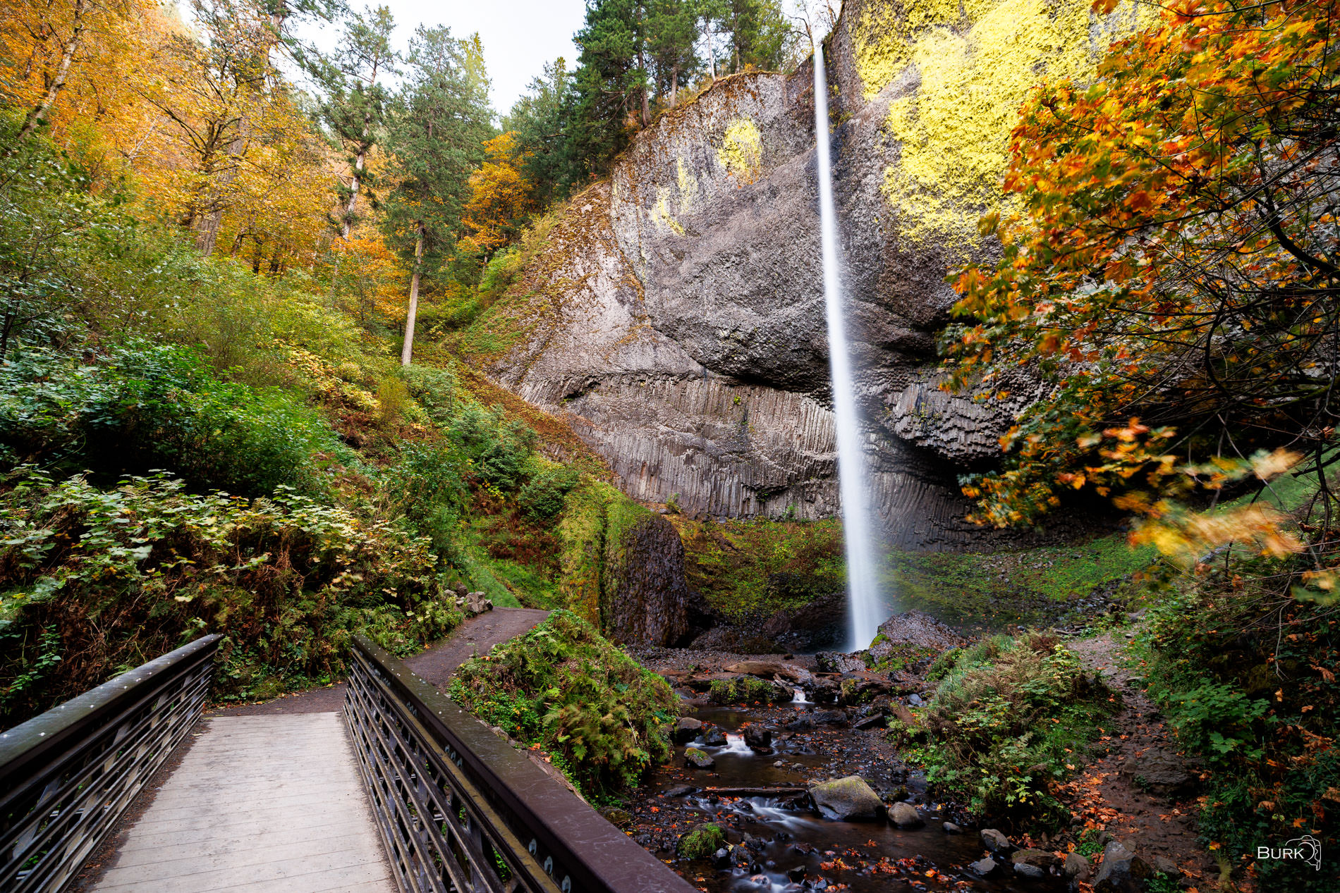 Autumn at Latourell Falls Located in the Columbia River Gorge of Oregon, Latourell Falls is a stunning 249-foot waterfall surrounded by lush forests, moss...