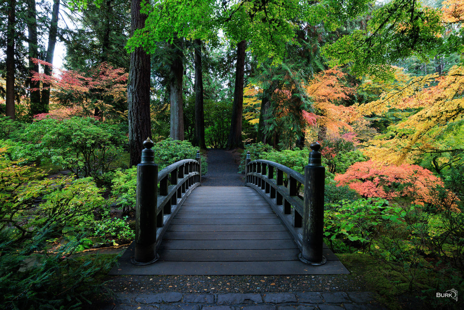 Moon Bridge 🌙 Moon Bridge at Portland Japanese Garden
