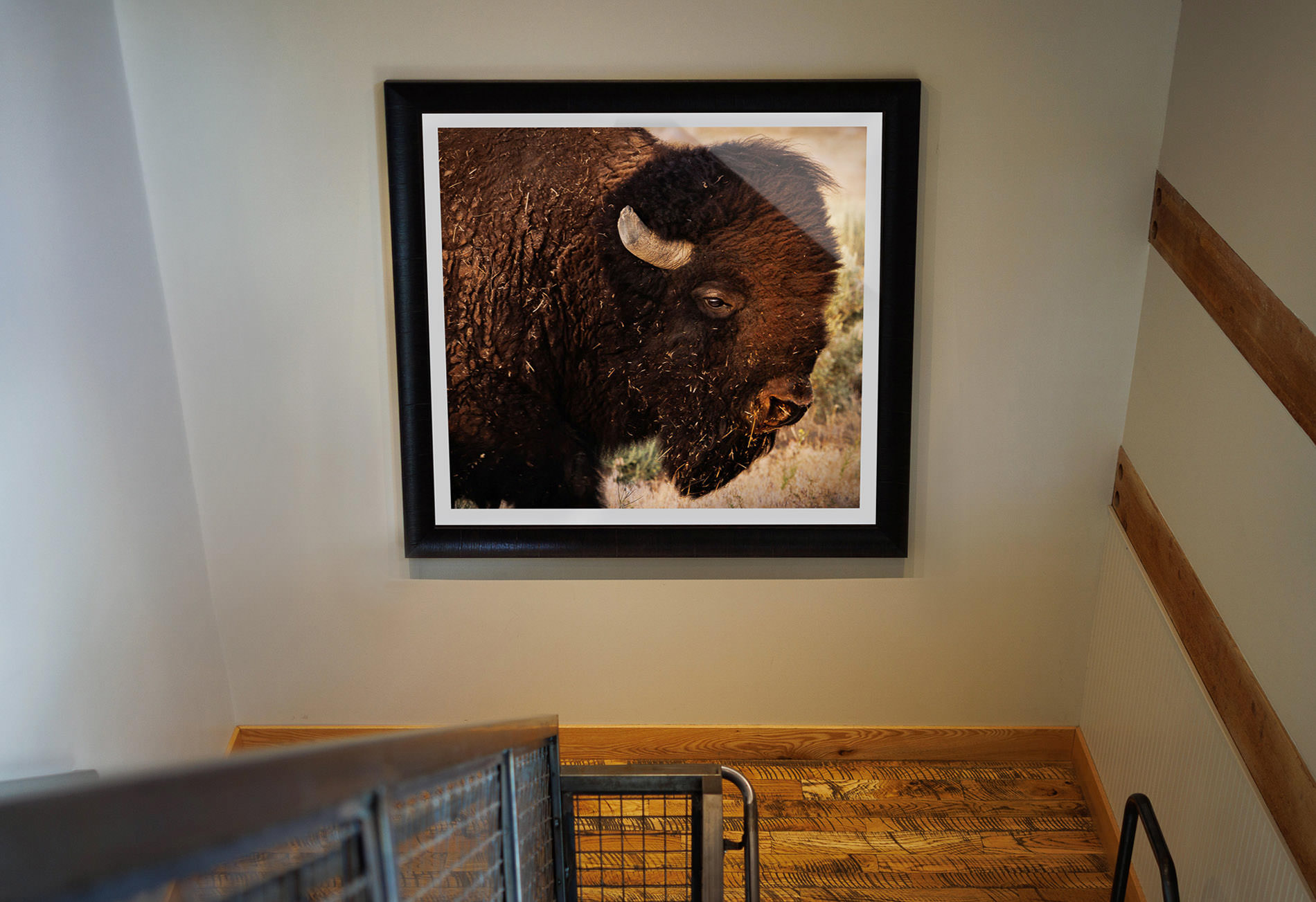 Lumachrome HD Truflife Acrylic Fine Art Print framed with a Roma Moulding Italian Made frame.