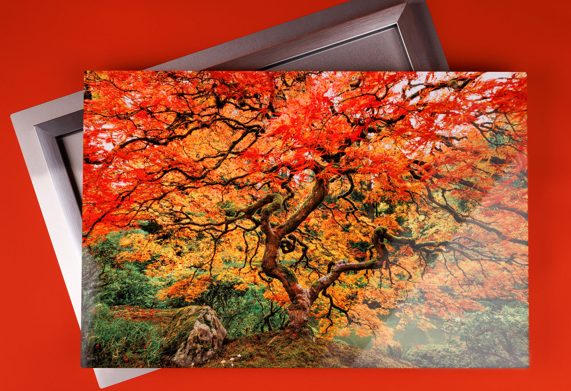 Metal Print Fine Art Photography