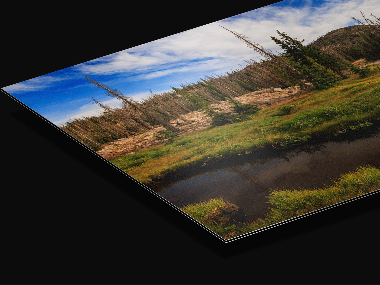 Fine Art Metallic Paper Print